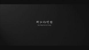 阳瑜伽视频,唤醒身心，焕发活力之旅