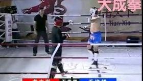 大成拳实战视频